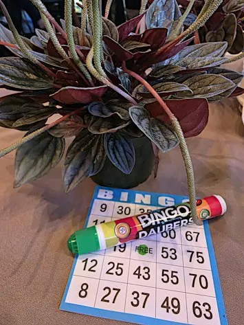 Chelle's Pours & Plant Bingo