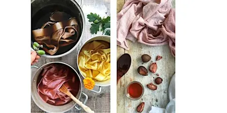 Kelham Makes: Colours from Nature – Sustainable Dyeing Workshop