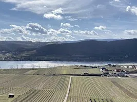 Fresh Air: The Role of Oxygen in Cellaring and Serving Wine
