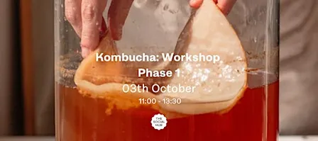Kombucha Workshop: Phase 1