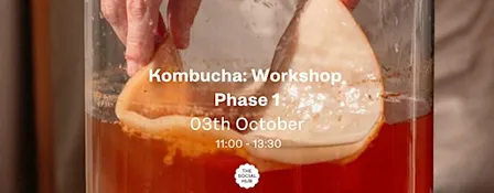 Kombucha Workshop: Phase 1