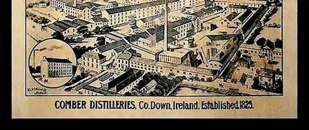 Vintage Irish Whiskey Tasting
