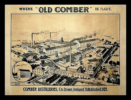 Vintage Irish Whiskey Tasting