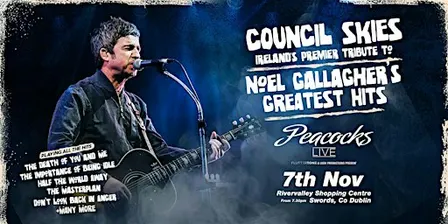 Noel Gallagher Experience, with Council Skies, Swords, Dublin