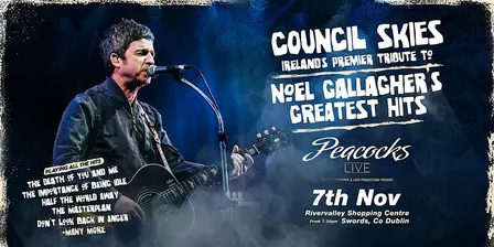 Noel Gallagher Experience, with Council Skies, Swords, Dublin