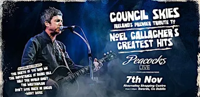 Noel Gallagher Experience, with Council Skies, Swords, Dublin