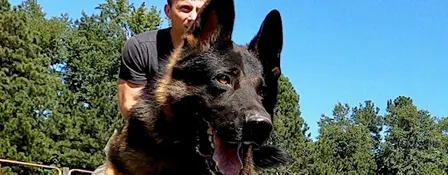 Commonwealth K-9 Classic