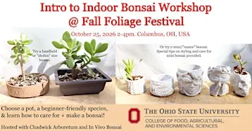 Intro to Indoor & Mini Bonsai Using Succulents @ Fall Foliage Festival