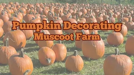 Pumpkin Decorating