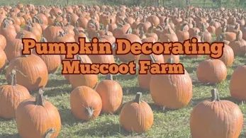 Pumpkin Decorating