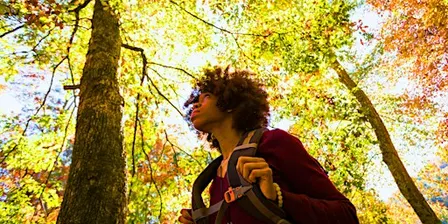 Mindfulness Stroll (Adults & Ages 8+)