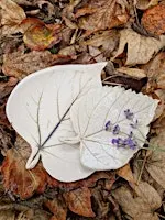 Clay and nature ceramics workshop - Leaf Bowls