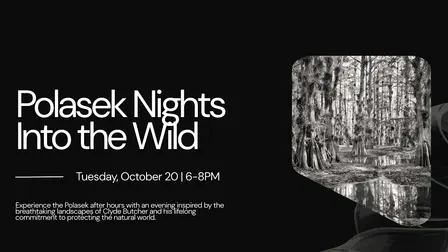 Polasek Nights: Into the Wild