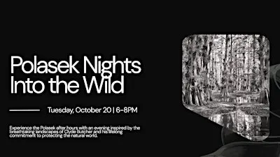 Polasek Nights: Into the Wild