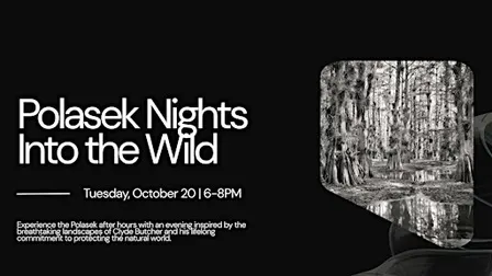 Polasek Nights: Into the Wild