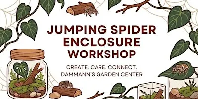 Jumping Spider Enclosure Workshop