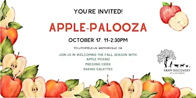 Apple Palooza