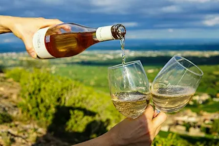 The Wines of Alsace
