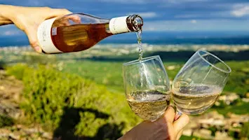 The Wines of Alsace