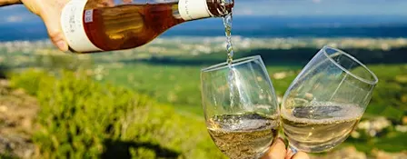 The Wines of Alsace