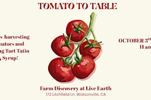 Tomato To Table