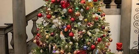 House of the Redeemer Annual Christmas Party