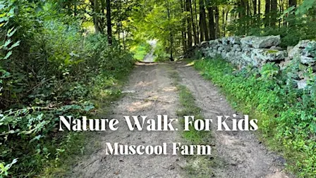 Nature Walk: For Kids!