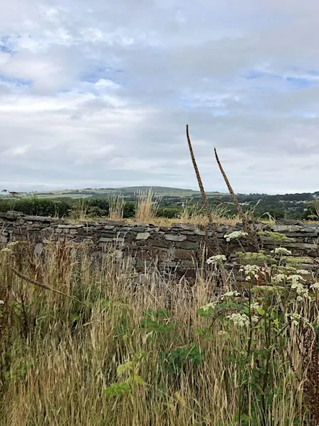 2-Day Stone Walling Course at Lower Metherell (Weekend 1/2)