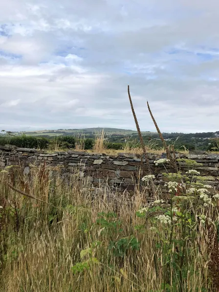 2-Day Stone Walling Course at Lower Metherell (Weekend 2/2)