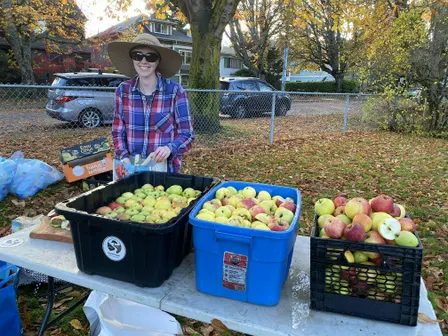 Apple Pressing in Alexander Park