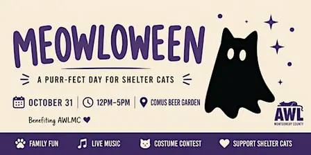 Meowlloween at The Comus Beer Garden