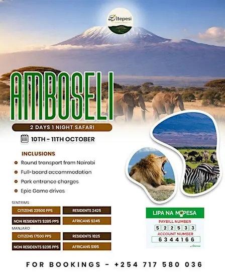 2 DAYS 1 NIGHT AMBOSELI SAFARI