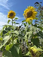 Seed Saving Workshop