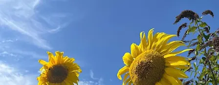 Seed Saving Workshop