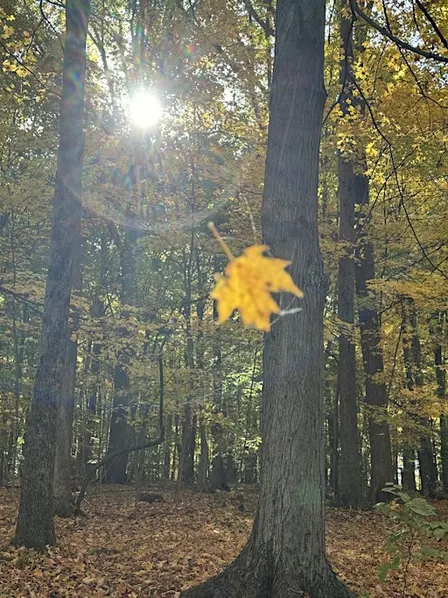 The Magic of Samhain Spirit Walk on Oct. 31