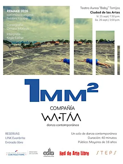 1 mm2 / danza contemporánea
