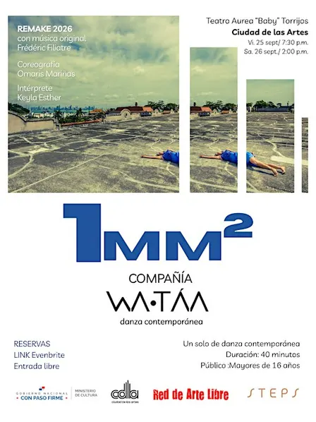 1 mm2 / danza contemporánea