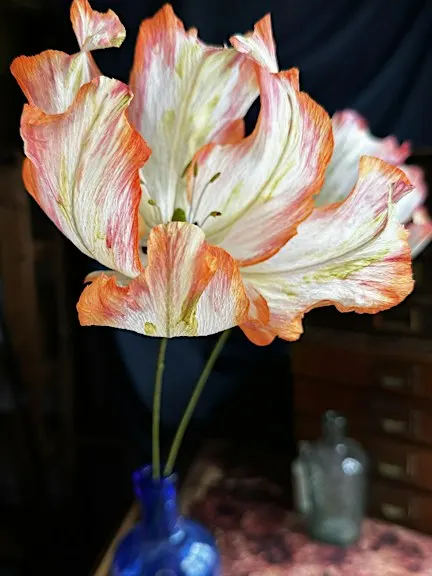 Paper Flower Craft Workshop - Luxury Parrot Tulip Masterclass (Winchester)