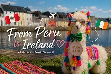 Discover Peru through the journey of Patrick the Llama | Culture Night 2026
