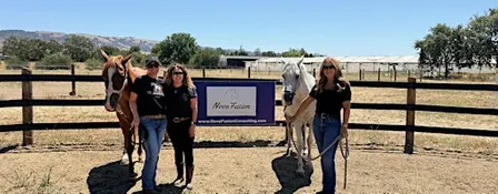Equine-Facilitated Leadership Coaching