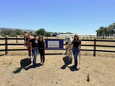 Equine-Facilitated Leadership Coaching