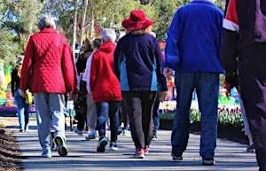 Heart Foundation Walking – Bridge to Bridge