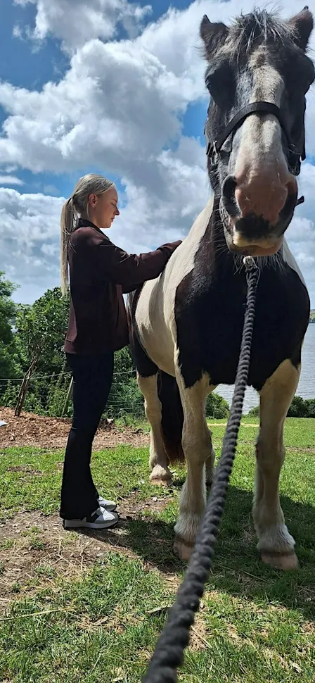 Horse Healing group session