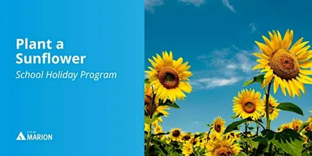 Plant a Sunflower | School Holiday Program | Glandore