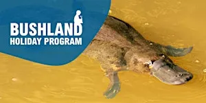 Holiday Program: Little Scientists - Platypus