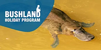 Holiday Program:  Little Scientists - Platypus