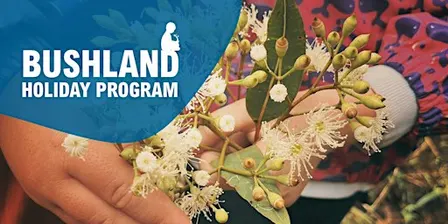 Holiday Program:  Bush Artists