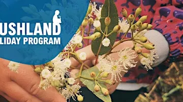 Holiday Program:  Bush Artists