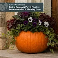 Living Pumpkin Porch Planter: Demonstration & Planting - Campbell