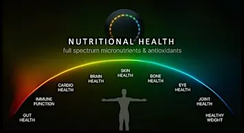 Longevity Night – Dein Cellular-Age-Check live